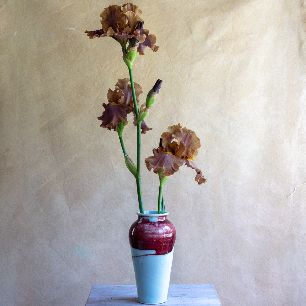 Porcelain Celadon and Oxblood Vase #201B