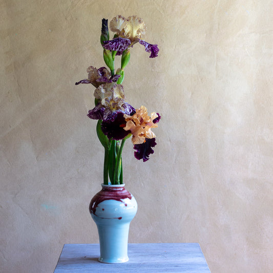 Porcelain Celadon and Oxblood Vase #204A