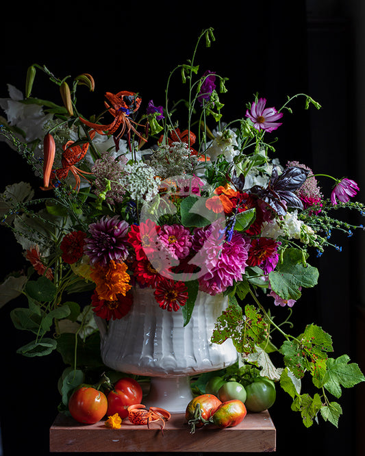 First Dahlias Photograph #6419